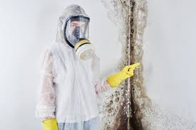 Best Comprehensive Air Testing for Mold Contaminants  in Ashton, ID